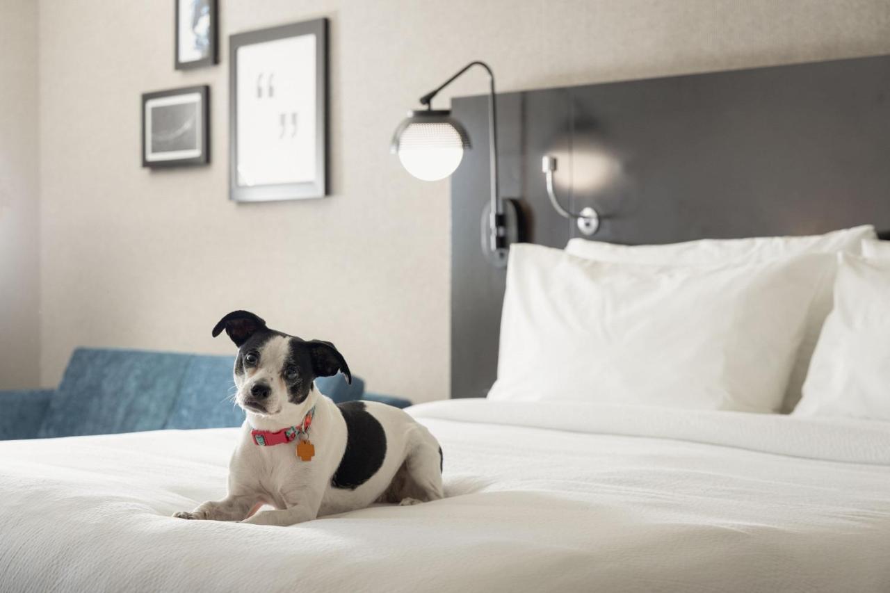 Four Points By Sheraton Milwaukee North Shore Brown Deer Εξωτερικό φωτογραφία